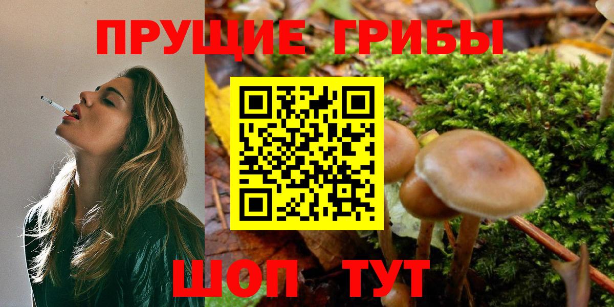 Галлюциногенные грибы прущие грибы  Вход с VPN  Аксай  Галлюциногенные грибы GOLDEN TEACHER 