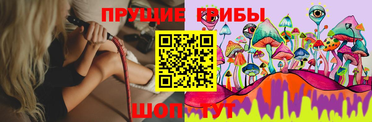 Псилоцибиновые грибы прущие грибы Аксай